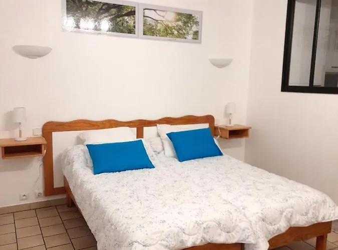 Apartment Les Albizias 5 Eugenie-les-Bains