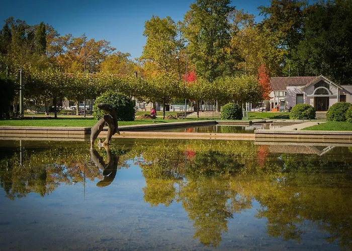 Apartment Les Albizias 5 *